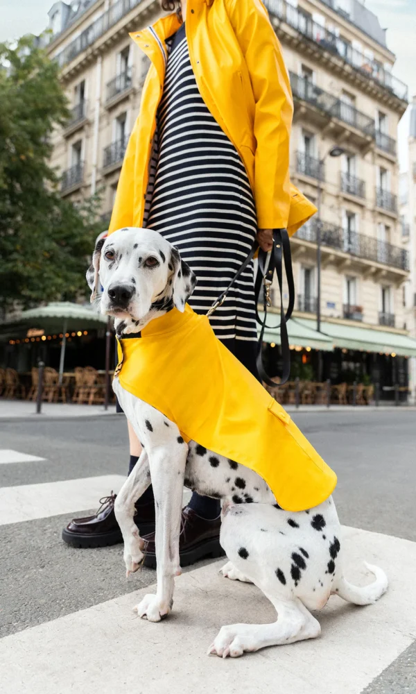 Hunde-Regenschutz TOUTOUCIRE